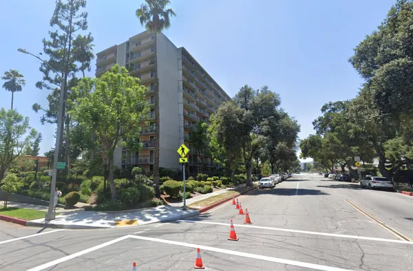a view of a yard with plants and a bench