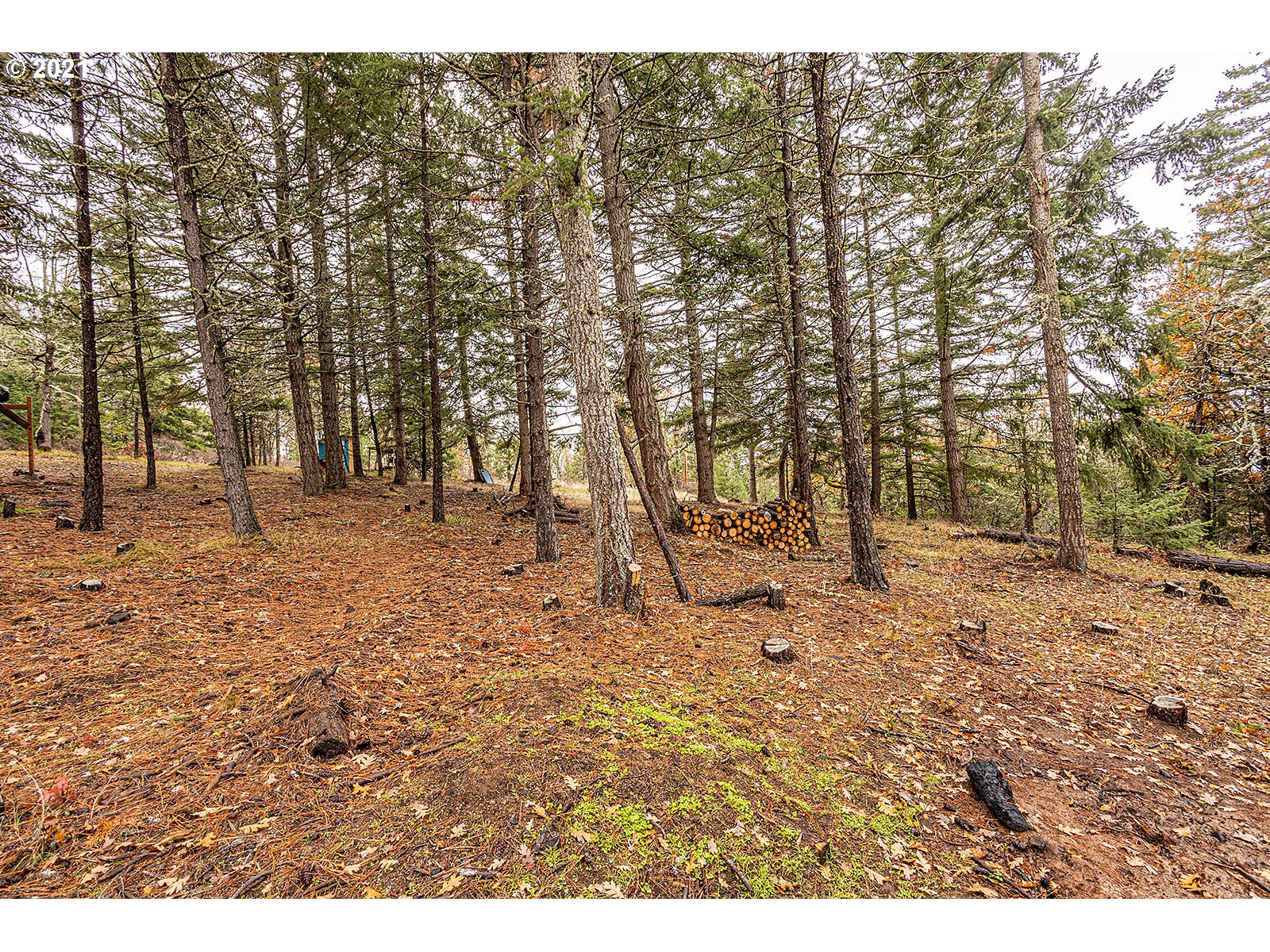 390 Canyon Road Lyle, WA 98635 - Photo 11 of 29 Gallery Image 11