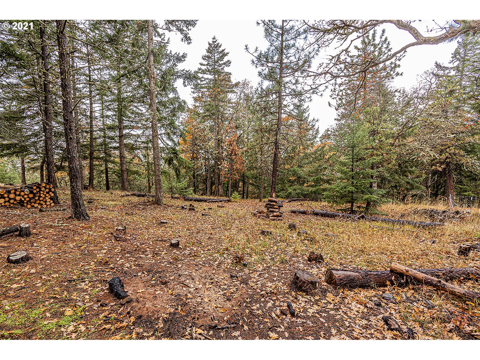 390 Canyon Road Lyle, WA 98635 - Photo 13 of 29 Gallery Image 13