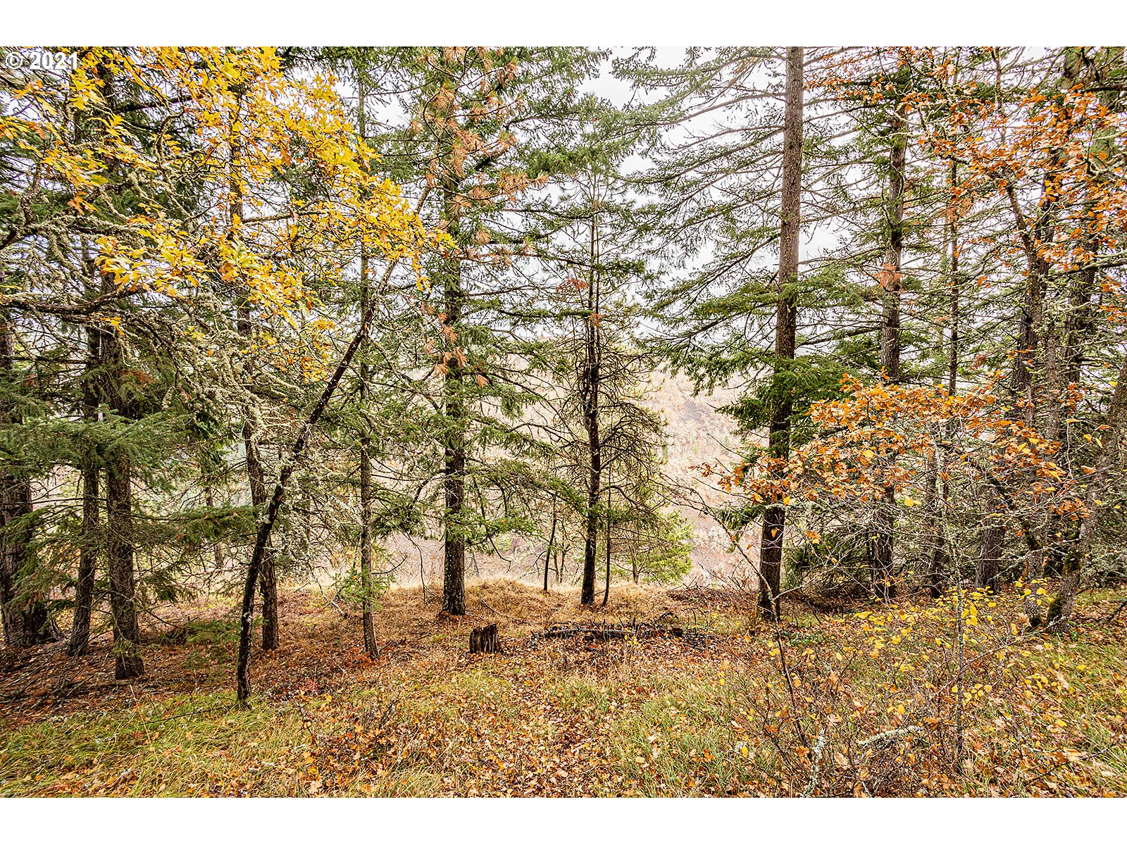 390 Canyon Road Lyle, WA 98635 - Photo 14 of 29 Gallery Image 14