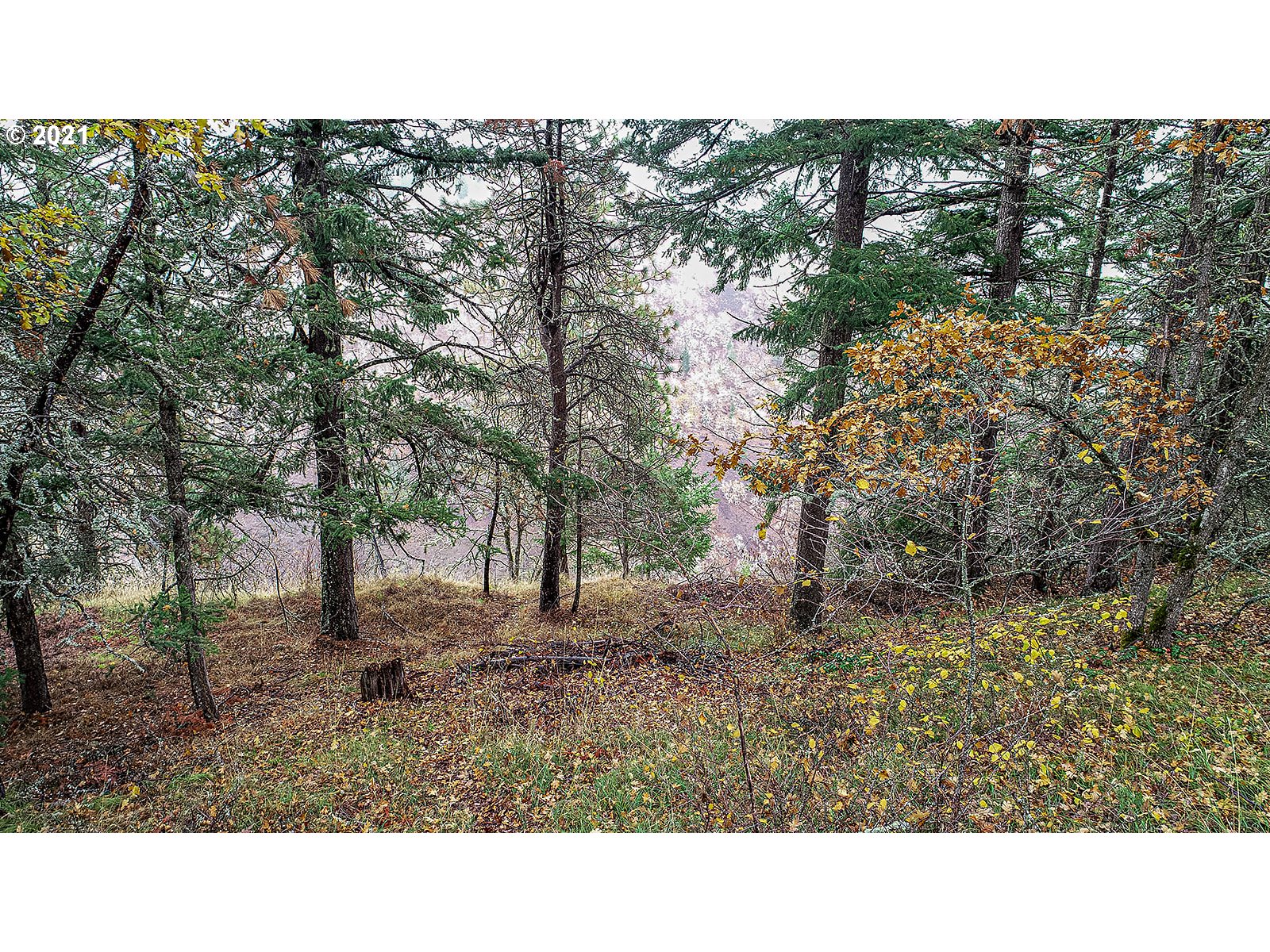 390 Canyon Road Lyle, WA 98635 - Photo 15 of 29 Gallery Image 15