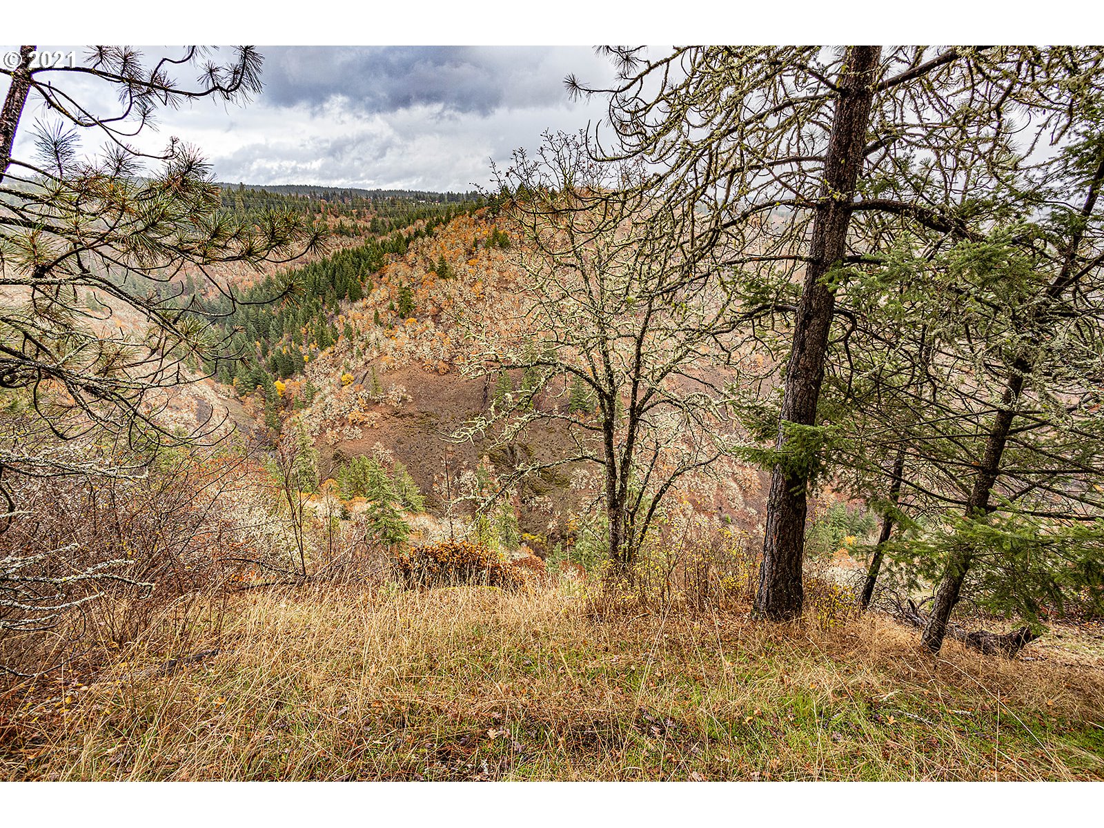 390 Canyon Road Lyle, WA 98635 - Photo 16 of 29 Gallery Image 16