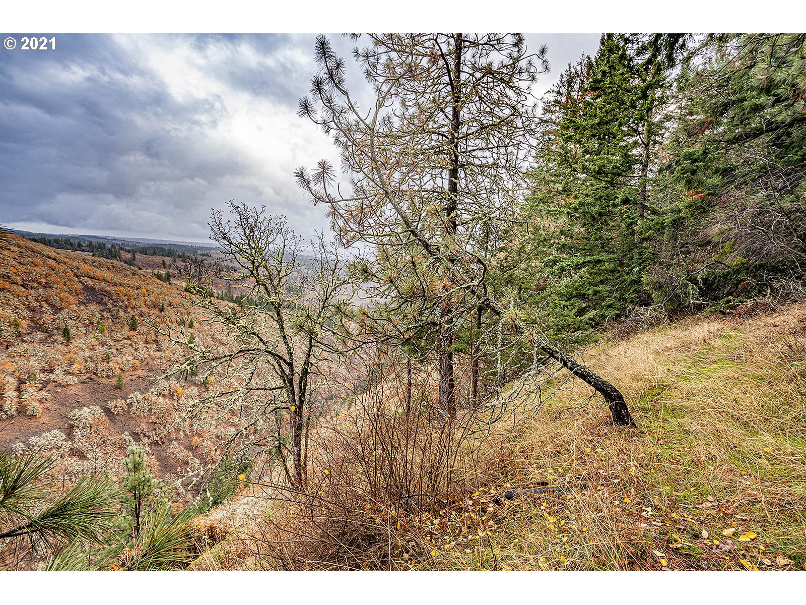 390 Canyon Road Lyle, WA 98635 - Photo 17 of 29 Gallery Image 17