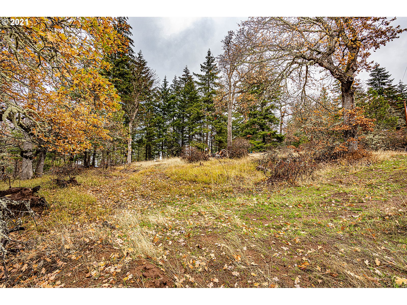 390 Canyon Road Lyle, WA 98635 - Photo 18 of 29 Gallery Image 18
