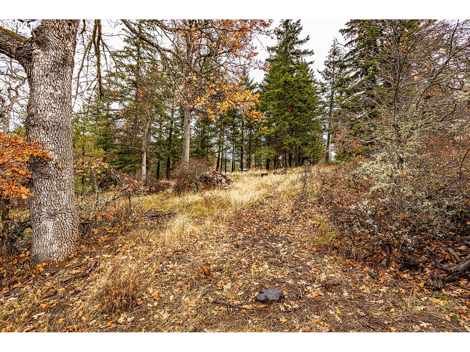 390 Canyon Road Lyle, WA 98635 - Photo 19 of 29 Gallery Image 19