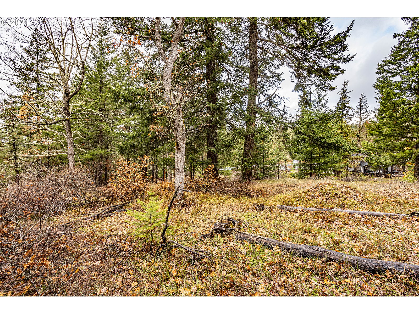 390 Canyon Road Lyle, WA 98635 - Photo 3 of 29 Gallery Image 3