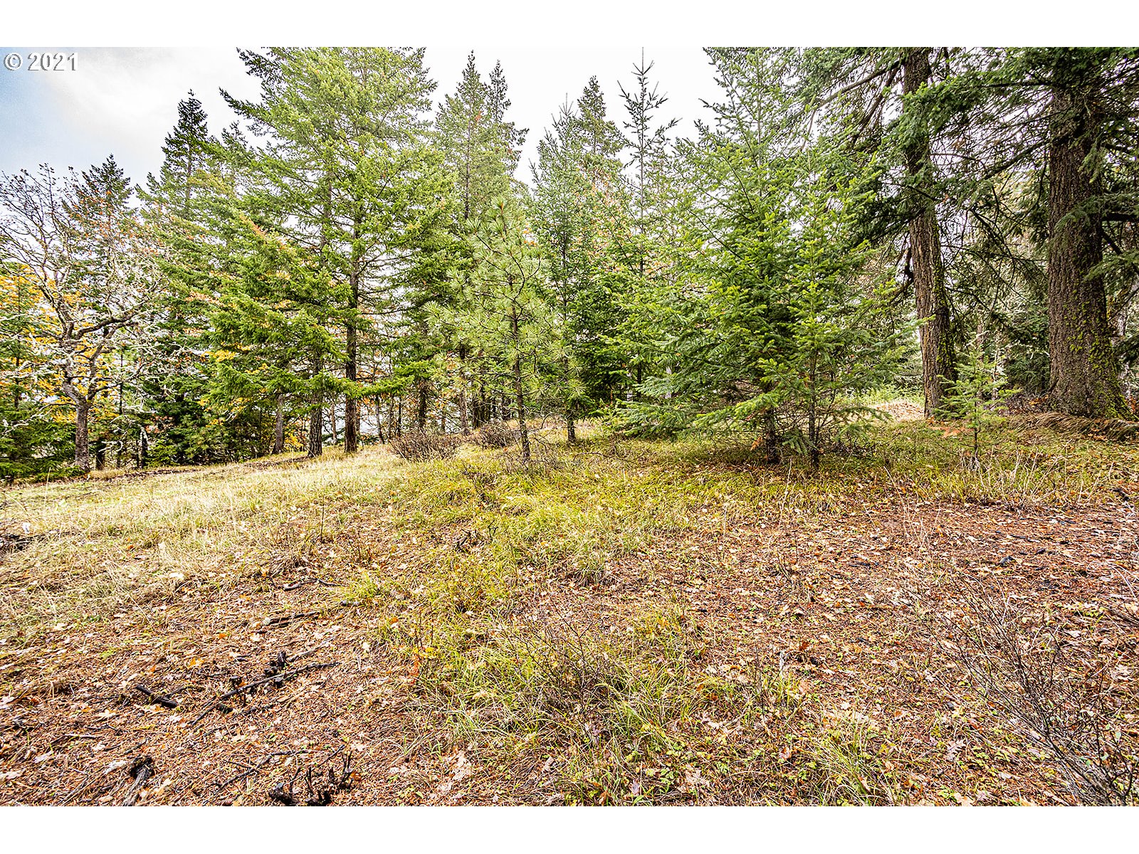 390 Canyon Road Lyle, WA 98635 - Photo 21 of 29 Gallery Image 21