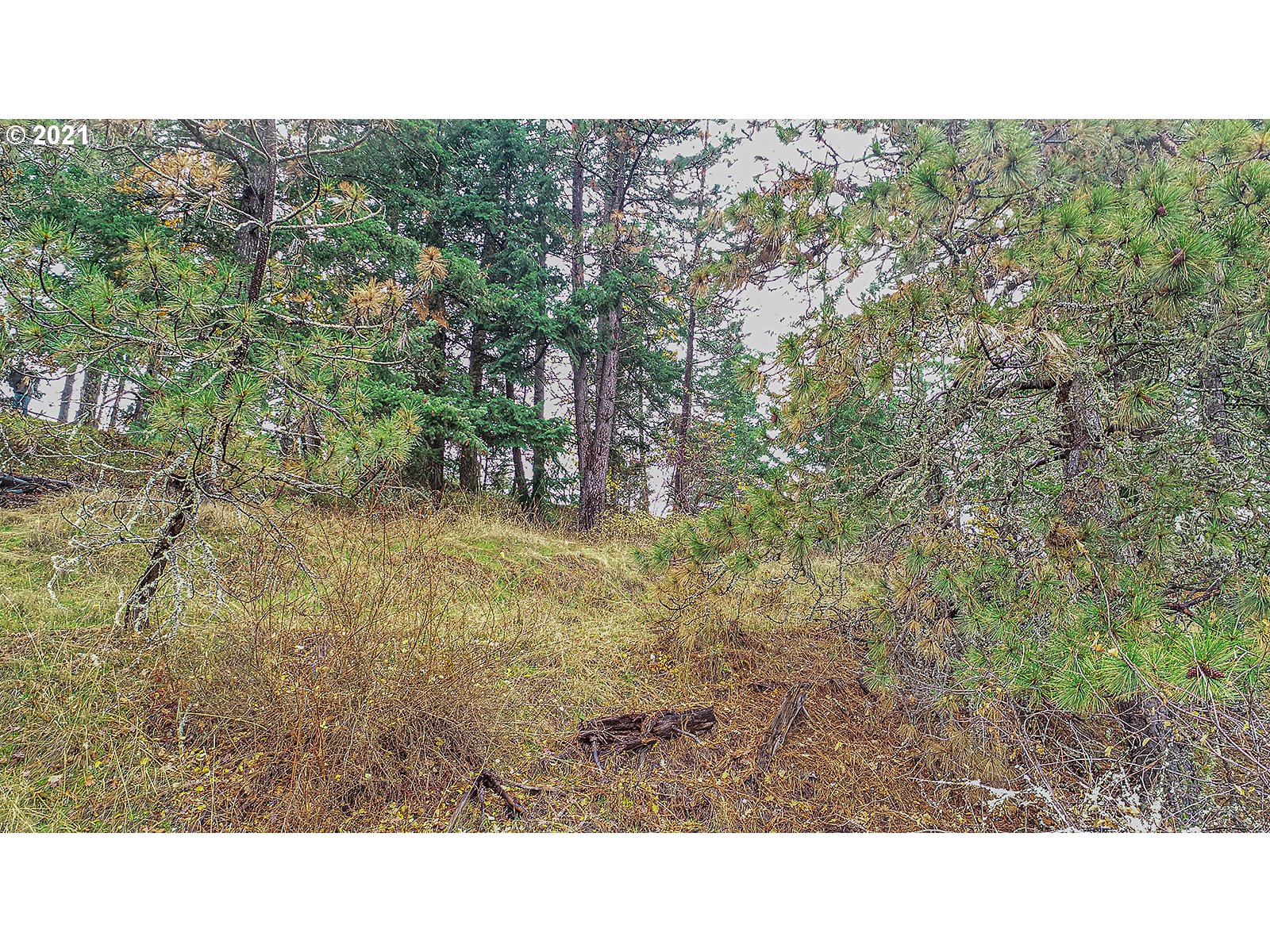 390 Canyon Road Lyle, WA 98635 - Photo 22 of 29 Gallery Image 22