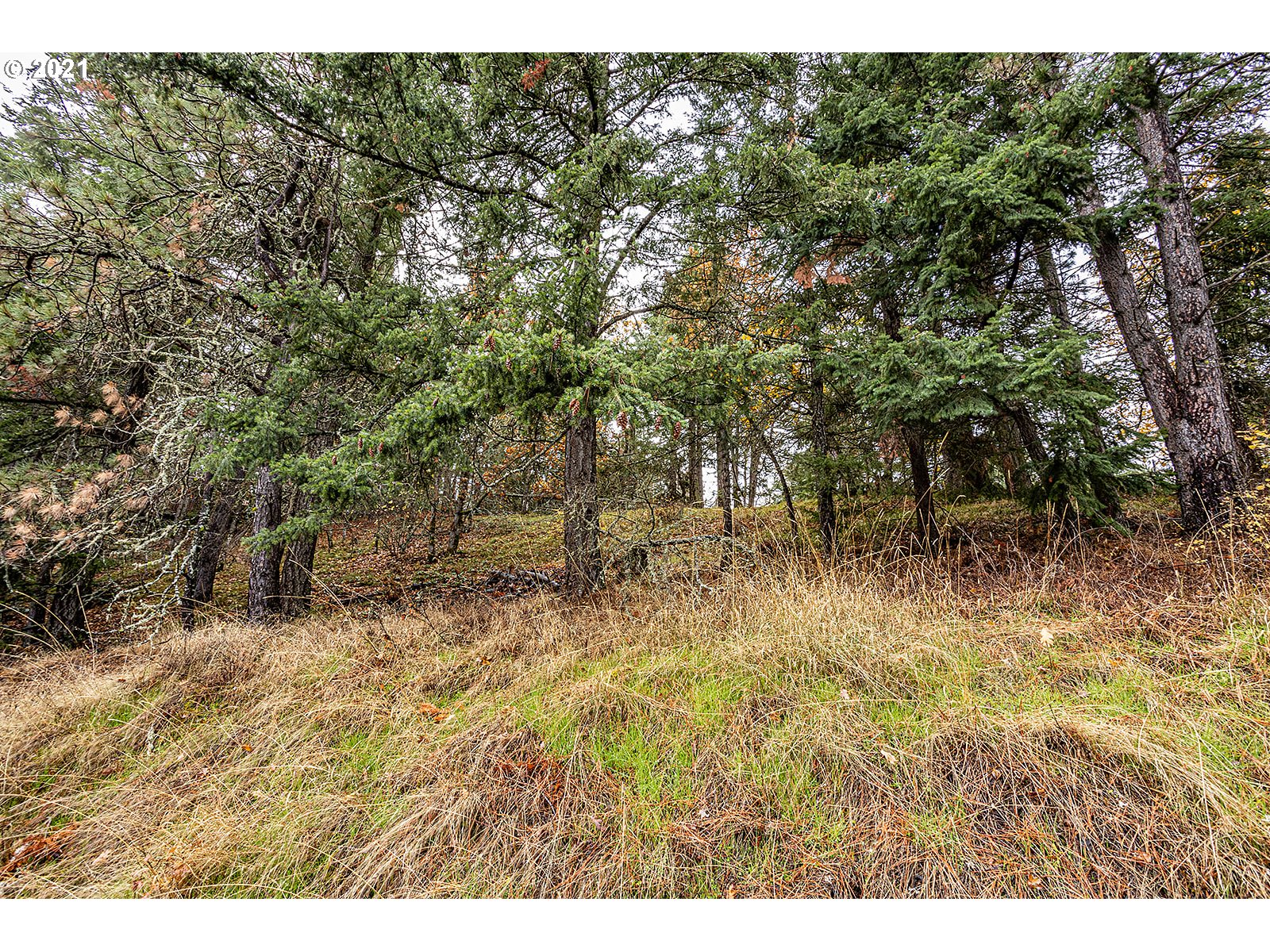390 Canyon Road Lyle, WA 98635 - Photo 23 of 29 Gallery Image 23