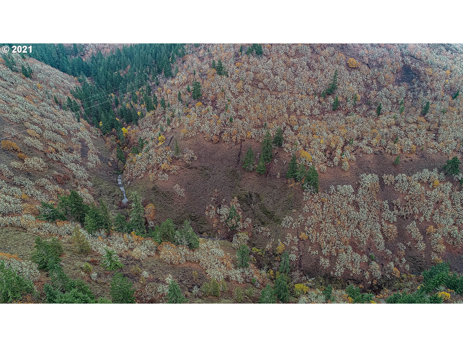 390 Canyon Road Lyle, WA 98635 - Photo 24 of 29 Gallery Image 24