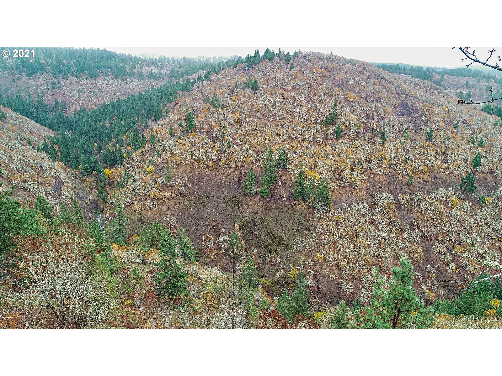 390 Canyon Road Lyle, WA 98635 - Photo 25 of 29 Gallery Image 25