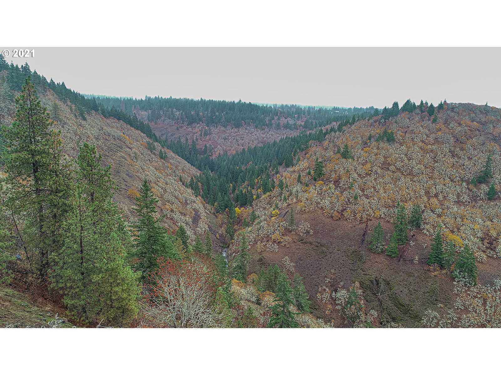 390 Canyon Road Lyle, WA 98635 - Photo 26 of 29 Gallery Image 26