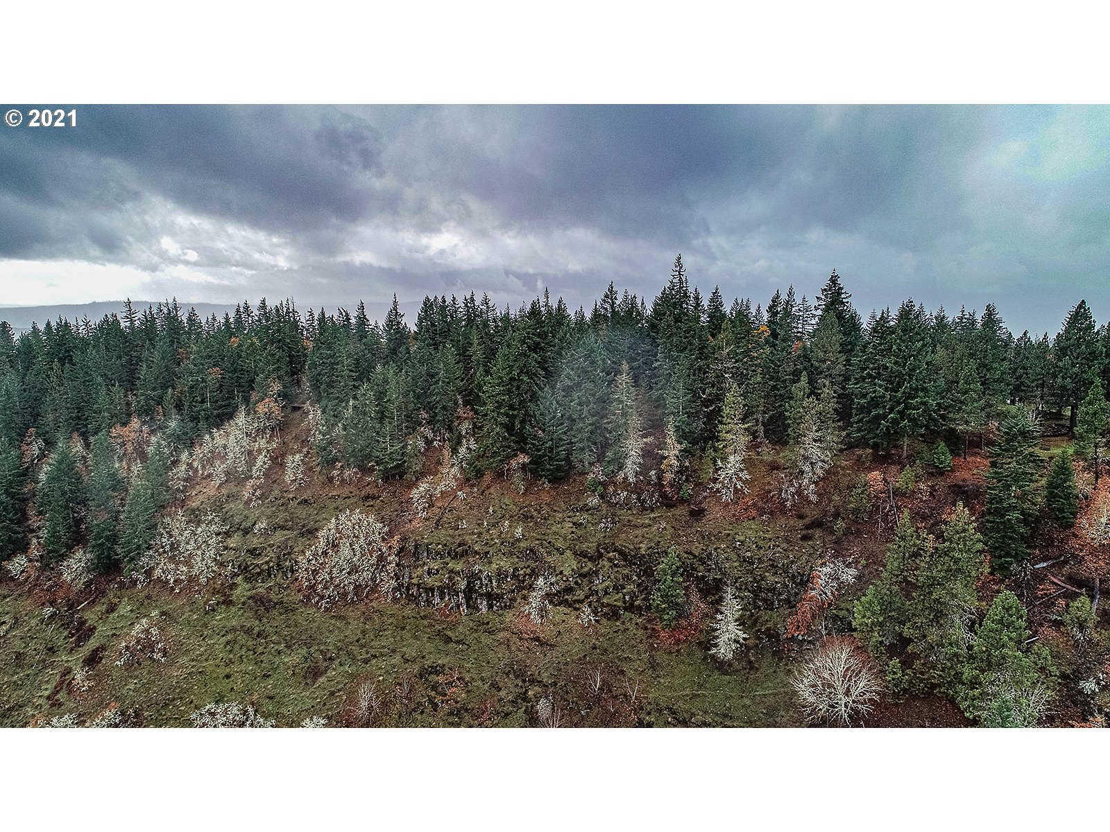 390 Canyon Road Lyle, WA 98635 - Photo 27 of 29 Gallery Image 27