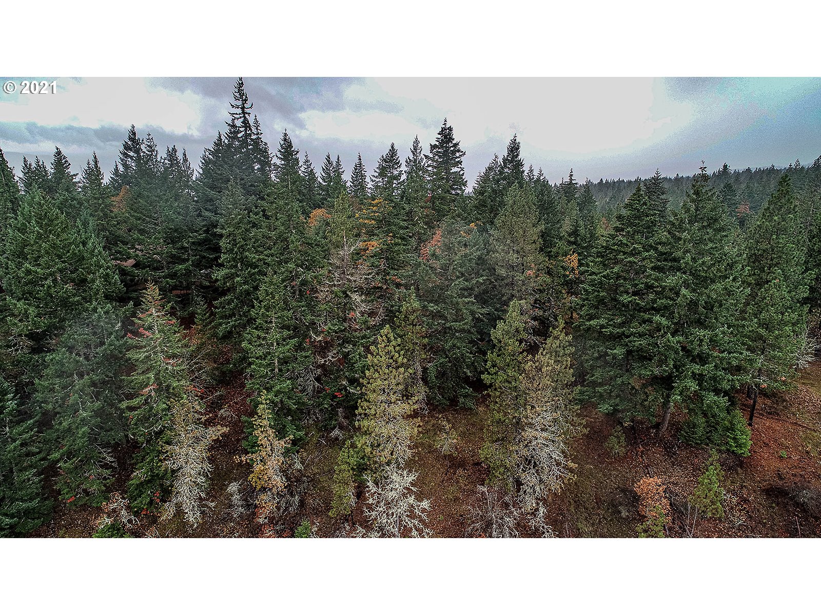 390 Canyon Road Lyle, WA 98635 - Photo 28 of 29 Gallery Image 28