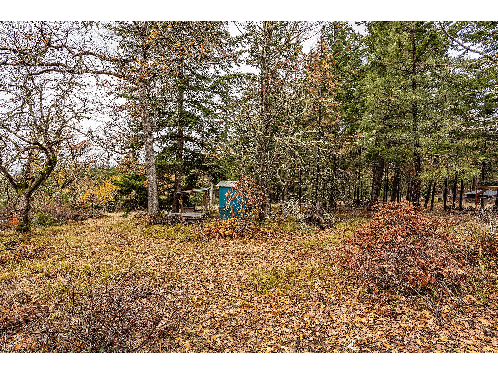 390 Canyon Road Lyle, WA 98635 - Photo 4 of 29 Gallery Image 4