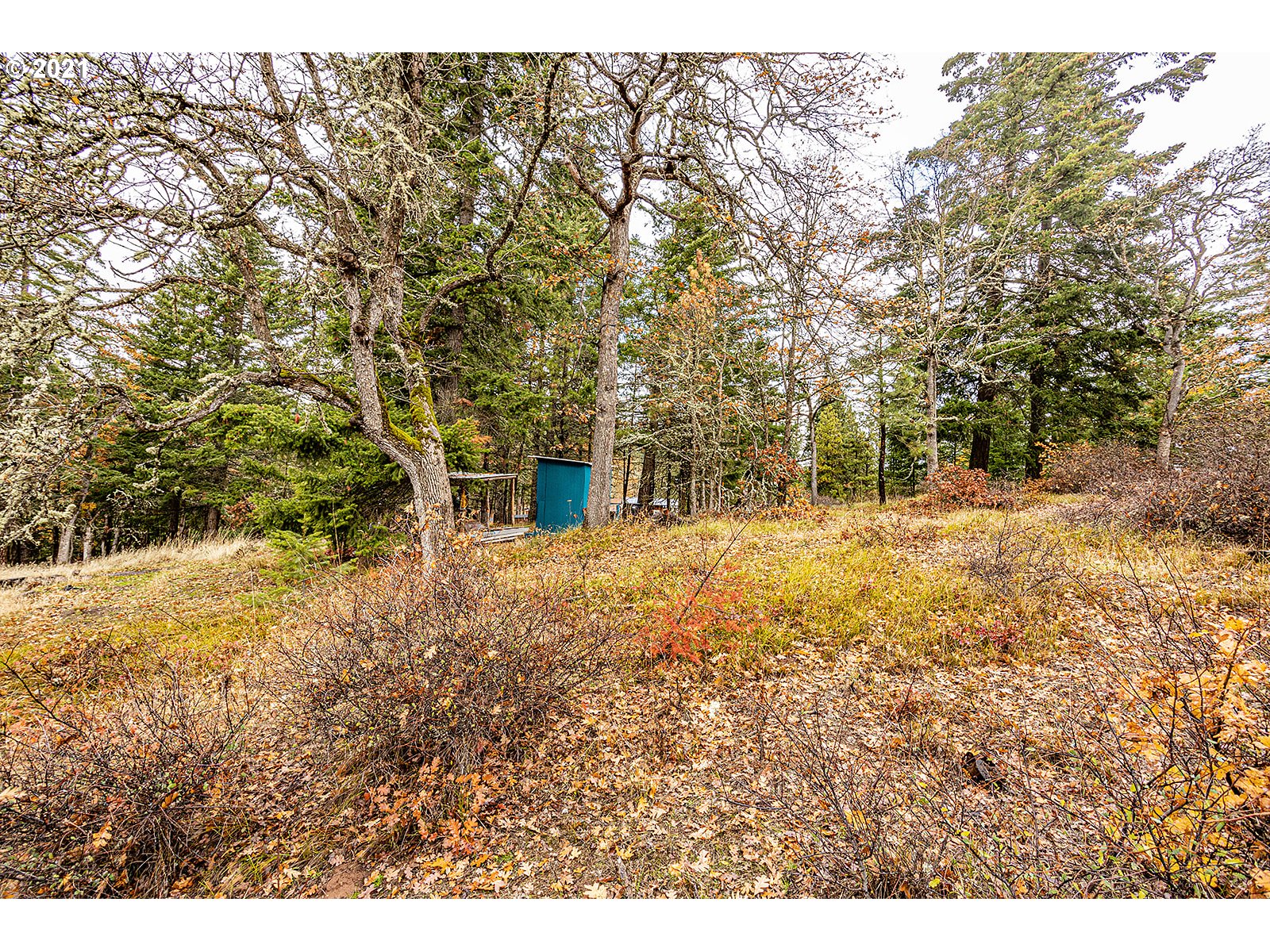 390 Canyon Road Lyle, WA 98635 - Photo 5 of 29 Gallery Image 5