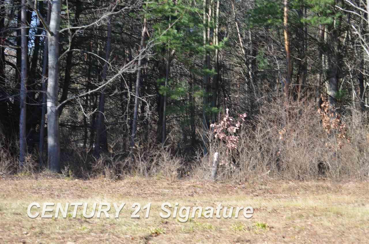 East Pine River Road Midland, MI 48640 - Photo 14 of 27 Gallery Image 14