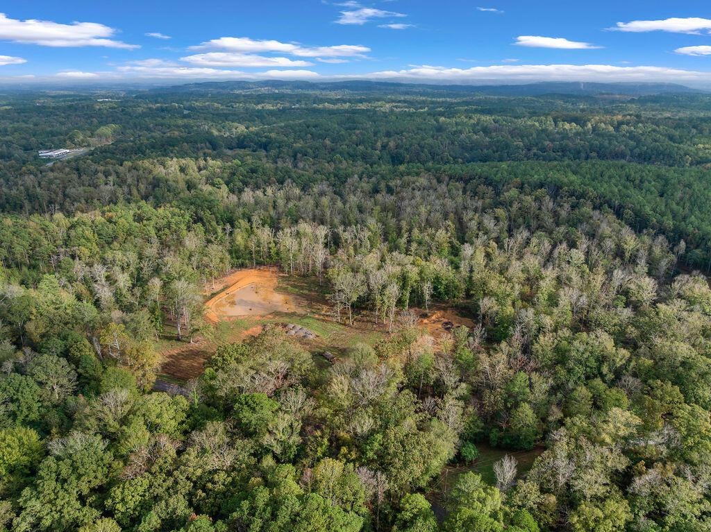 954 Evans Road Jasper, AL 35501 - Photo 17 of 19 DJI_20251021145033_0099_D