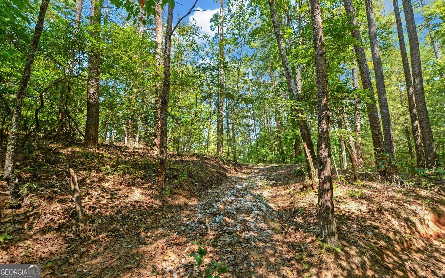 3014 Prather Bridge Road Toccoa, GA 30577 - Photo 49 of 50 Gallery Image 49