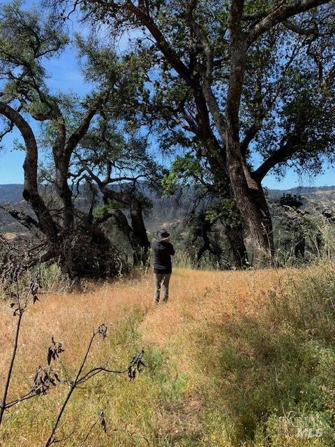 2100 Big Ridge Road Healdsburg, CA 95448 - Photo 16 of 20