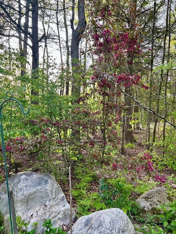 32 Woodchuck Hollow Road Tolland, MA 01034 - Photo 31 of 41 a view of a garden