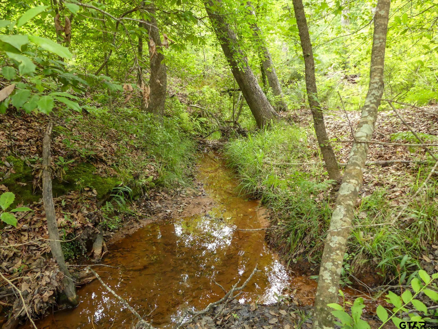 0 Avinger Cut Off Road Avinger, TX 75630 - Photo 37 of 48