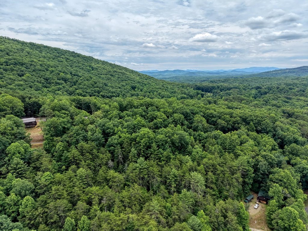 664 High Ridge Road Murphy, NC 28906 - Photo 41 of 42