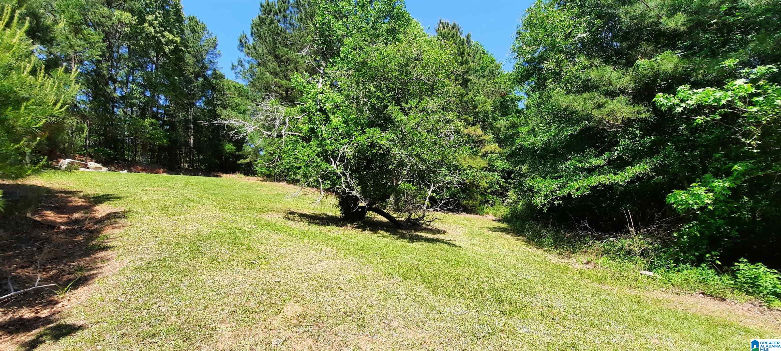 10778 County Road 19 Heflin, AL 36264 - Photo 16 of 41