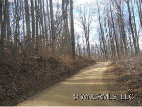 0 Georgia Cliff Road Tryon, NC 28782 - Photo 3 of 6