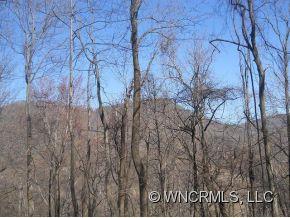 0 Georgia Cliff Road Tryon, NC 28782 - Photo 4 of 6