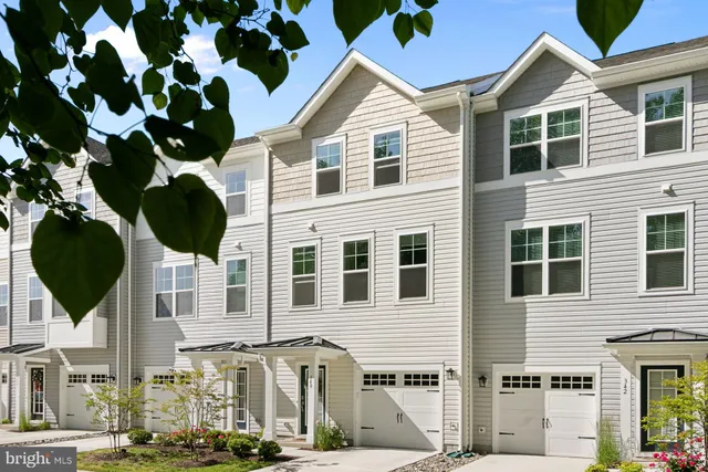a view of a house with a potted plant