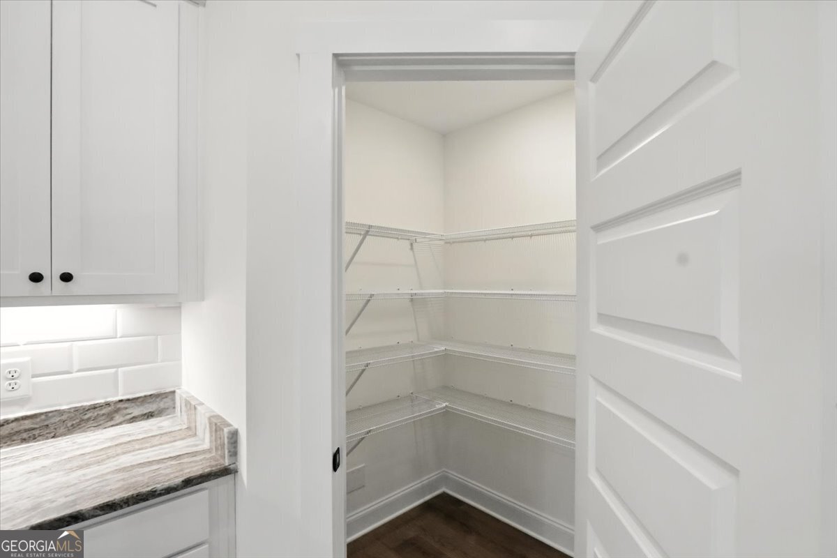 166 Rachel Lane Hartwell, GA 30643 - Photo 16 of 51 a empty closet with white paint
