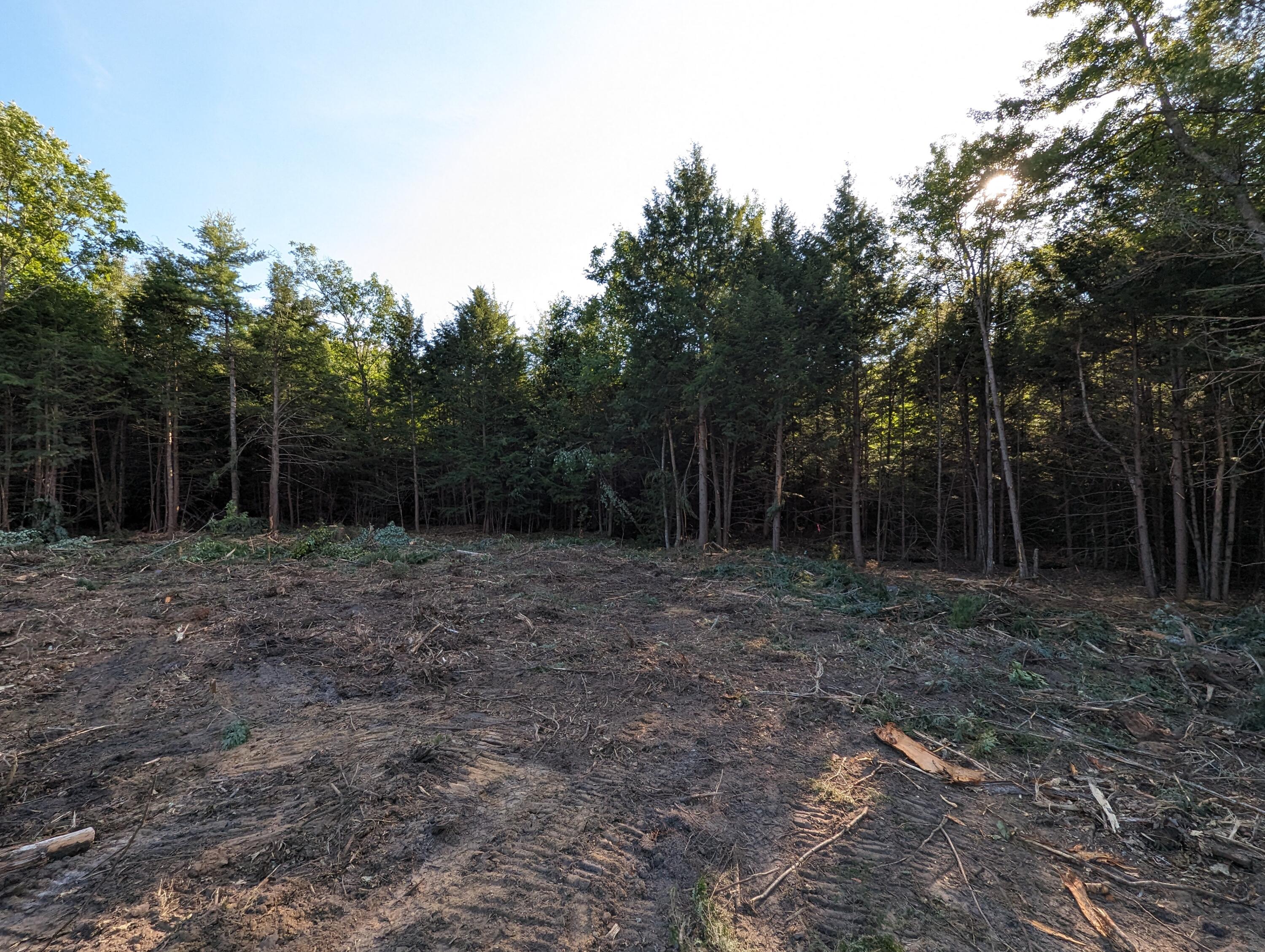 Lot #7 Diffin Road Oxford, ME 04270 - Photo 2 of 5 4965249927184949150
