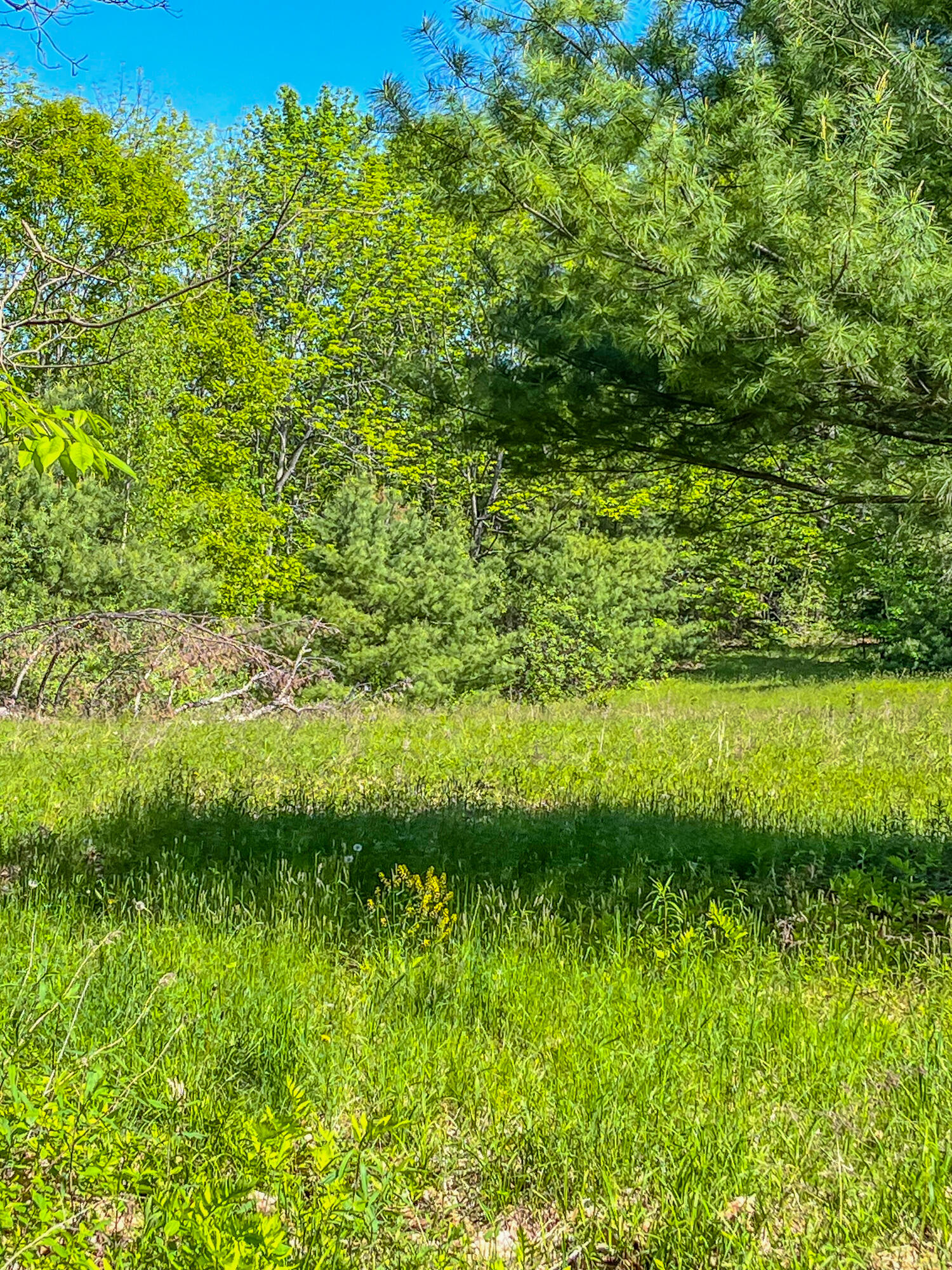 13 South Dondero Road Augusta, ME 04330 - Photo 5 of 17