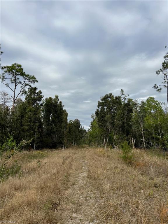 24265 Rocky Road Bonita Springs, FL 34135 - Photo 2 of 5 a view of outdoor space and garden