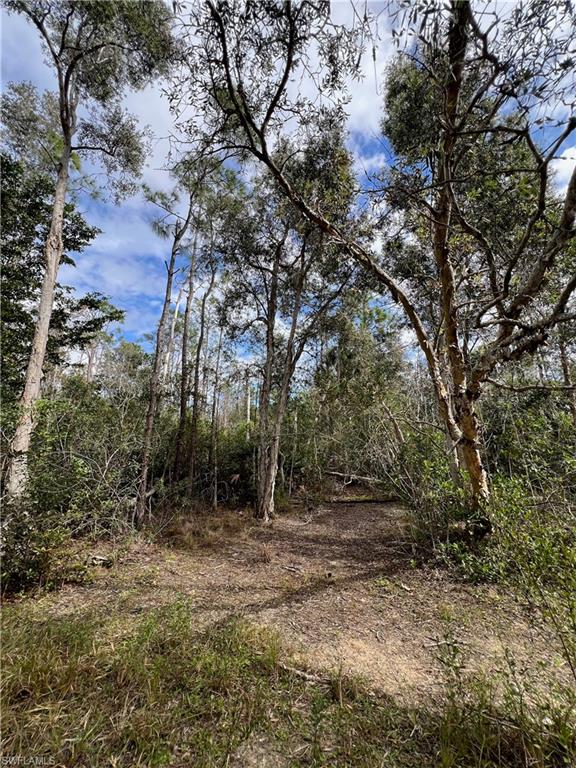 24265 Rocky Road Bonita Springs, FL 34135 - Photo 3 of 5 a view of backyard with green space