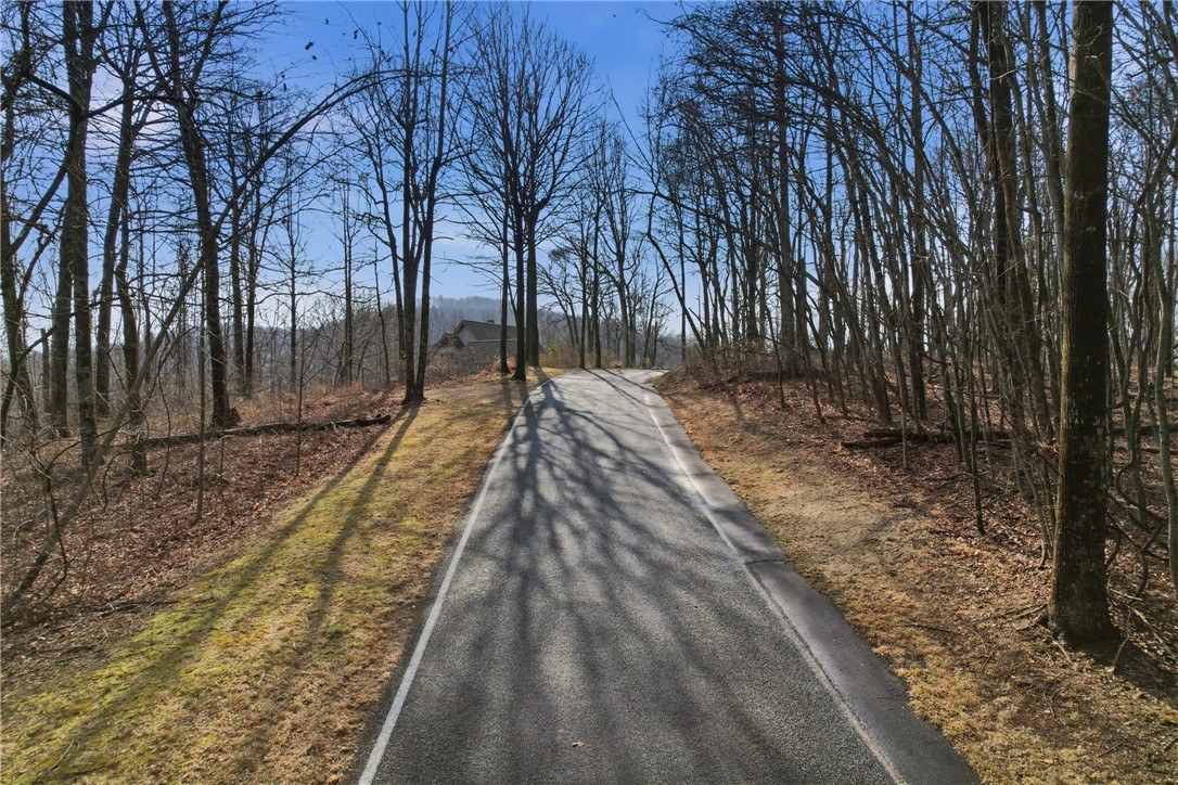 116 Witch Hazel Trail Landrum, SC 29356 - Photo 11 of 26 A scenic driveway leads through a wooded landscape, offering a private approach to a home.