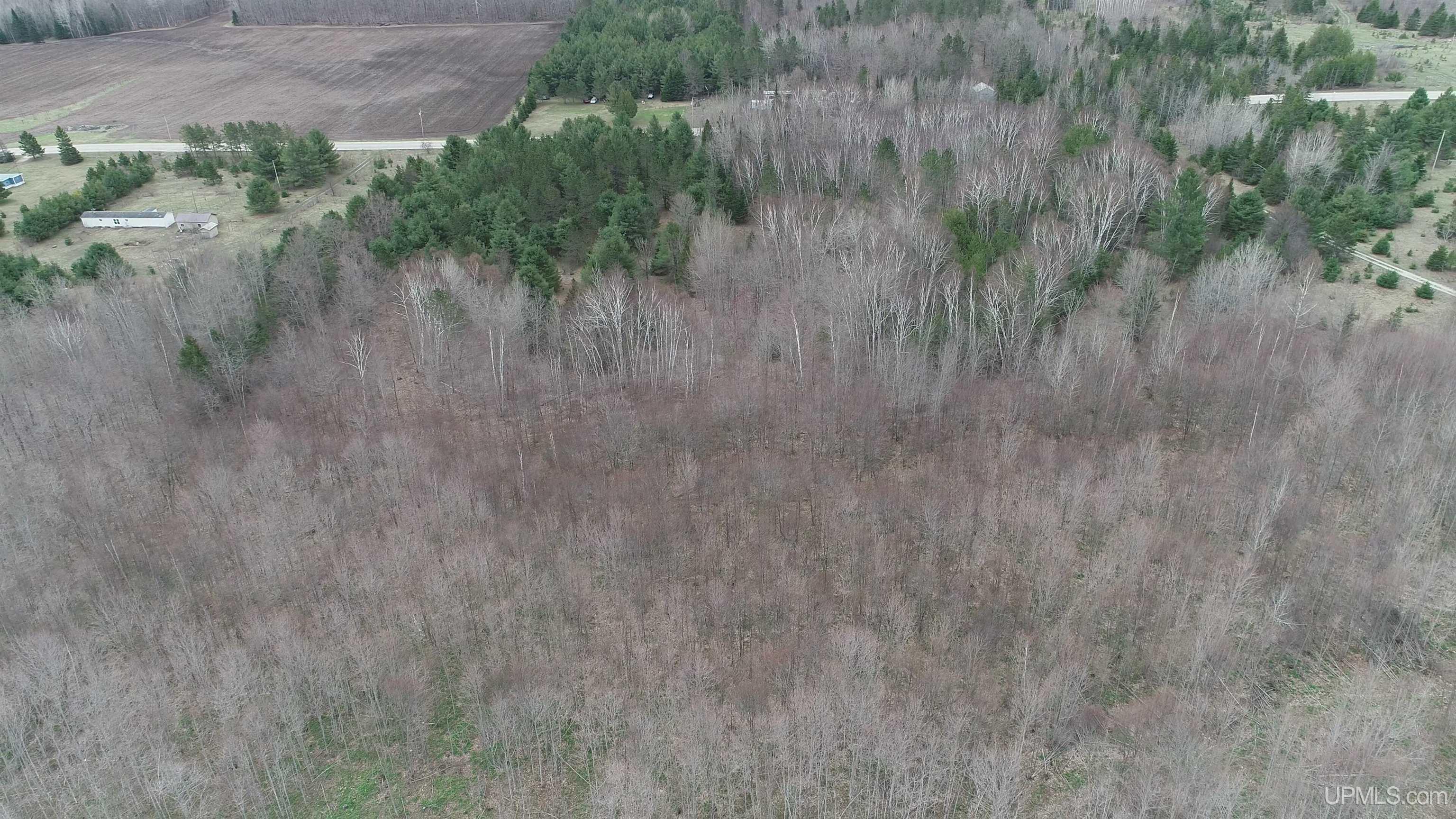 East 20 Quarry Road Gulliver, MI 49840 - Photo 33 of 47