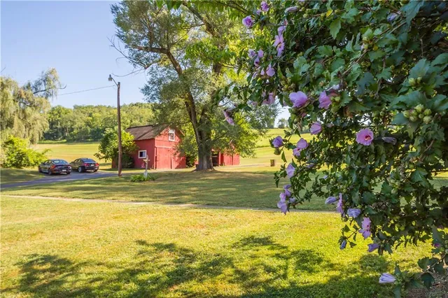 a view of a backyard with a house