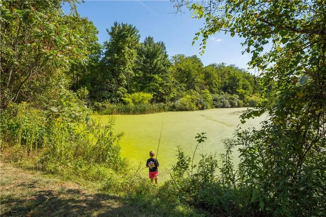 a view of a town with mountains in the background