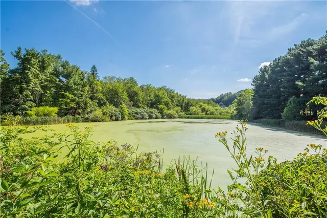 a view of a big yard with swimming pool and green space