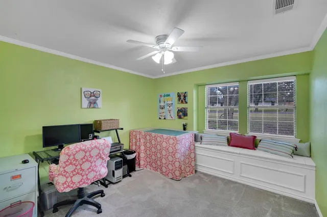 a living room with furniture flowerpot and a window