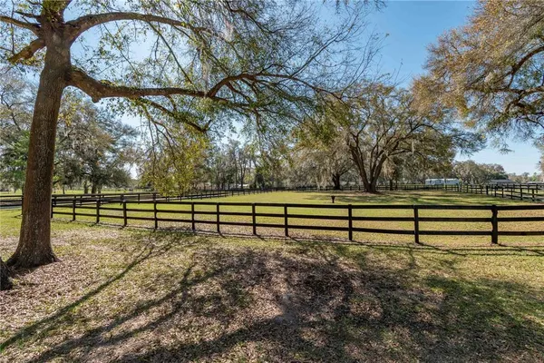 a view of park bench