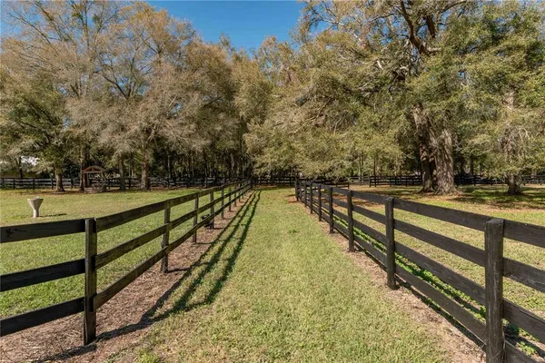 a view of a balcony with trees