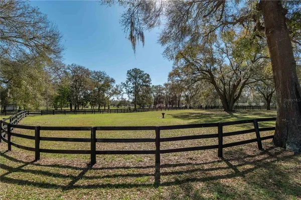a view of a yard with a bench