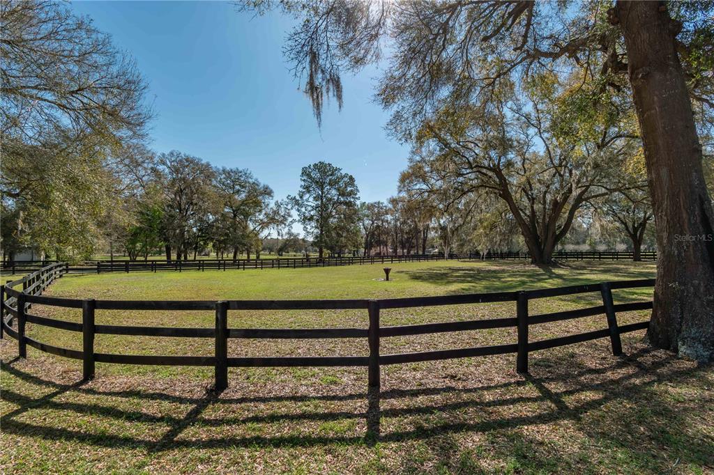 1631 Northeast 165th Street Citra, FL 32113 - Photo 46 of 50