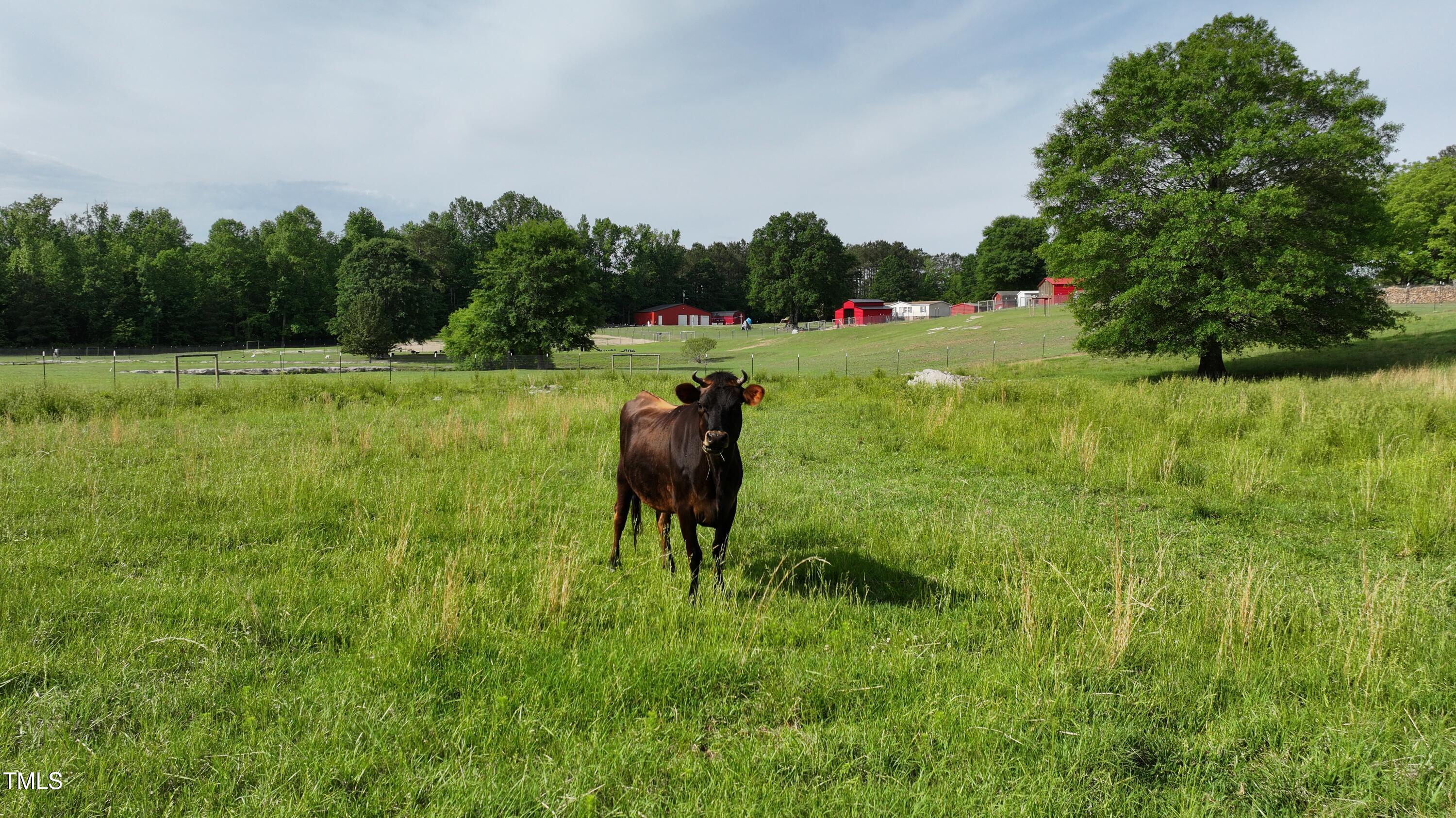 23 Furney Pearce Road Zebulon, NC 27597 - Photo 7 of 20 DJI_20240510093042_0198_D