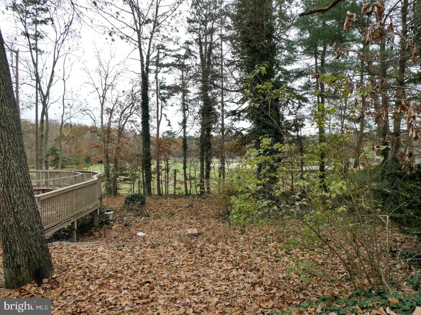 25 Nottingham Drive Sicklerville, NJ 08081 - Photo 27 of 30