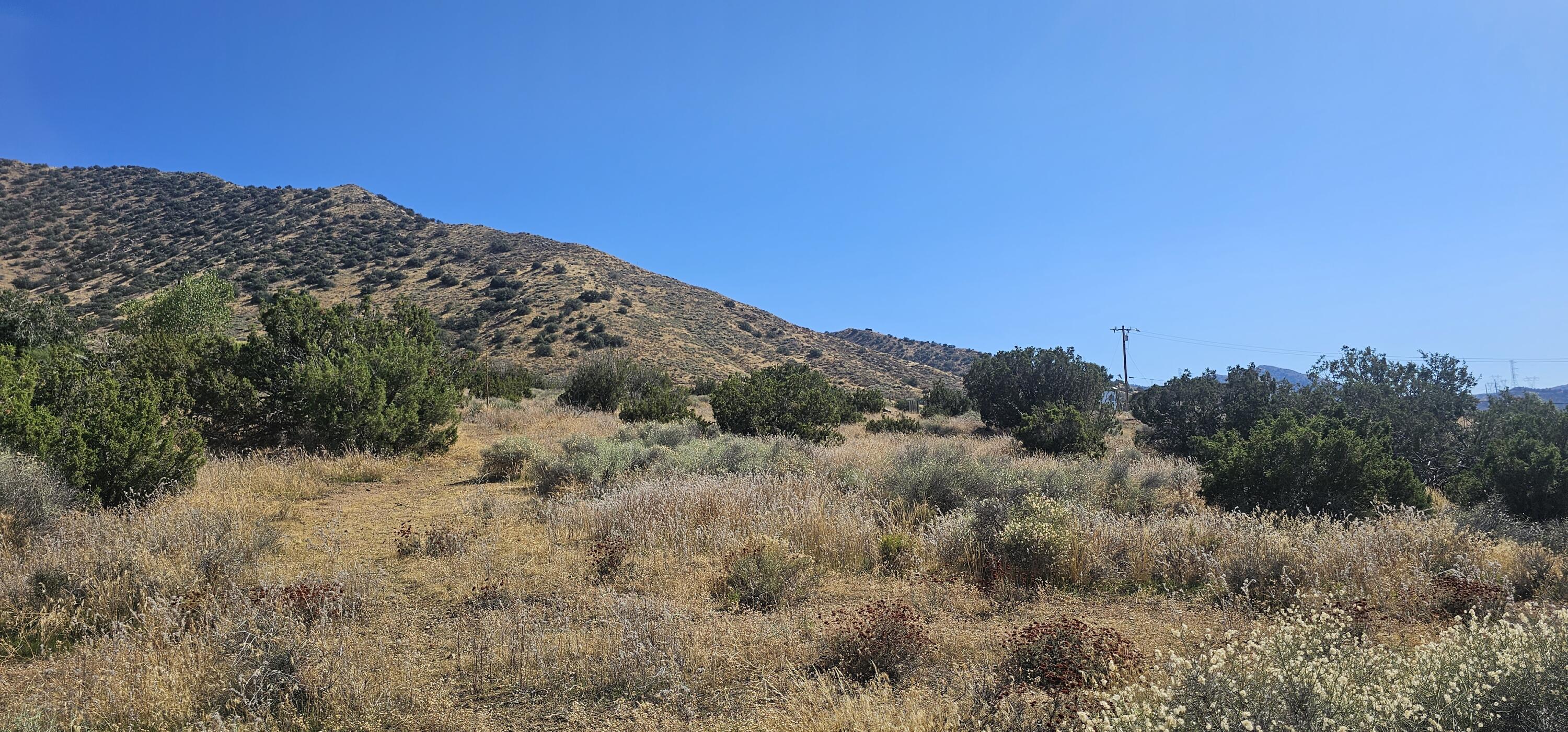 Soledad Pass Palmdale, CA 93550 - Photo 1 of 9 a view of a dry yard