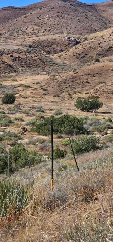 a view of a dry yard